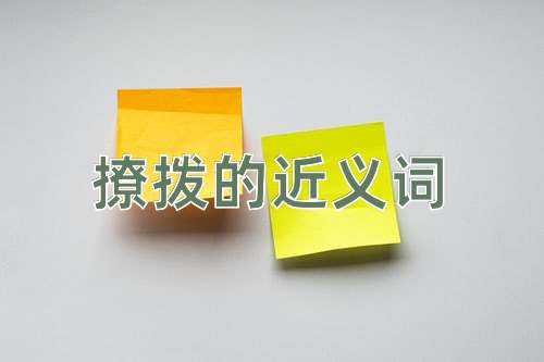 撩拨的近义词