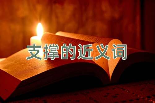 支撑的近义词