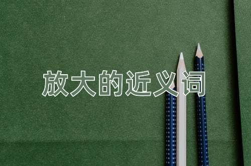 放大的近义词
