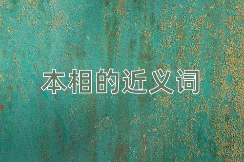 本相的近义词