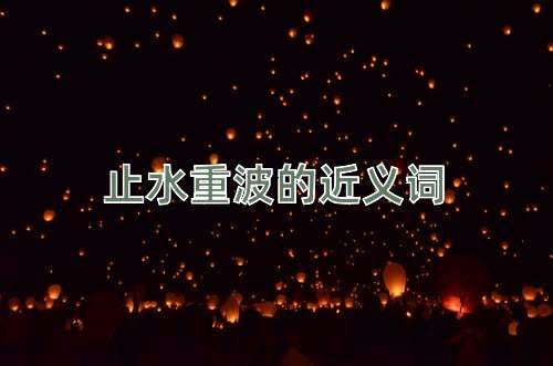 止水重波的近义词