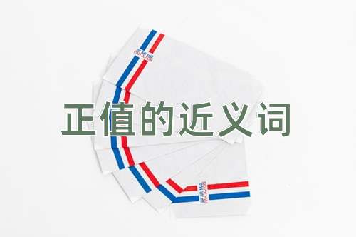 正值的近义词