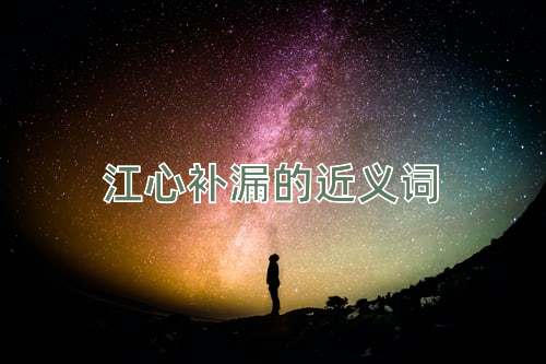 江心补漏的近义词