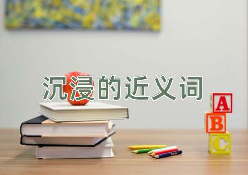 沉浸的近义词