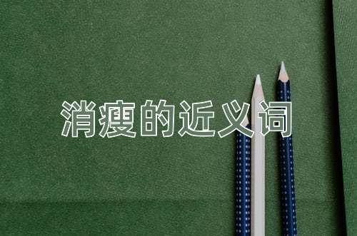 消瘦的近义词
