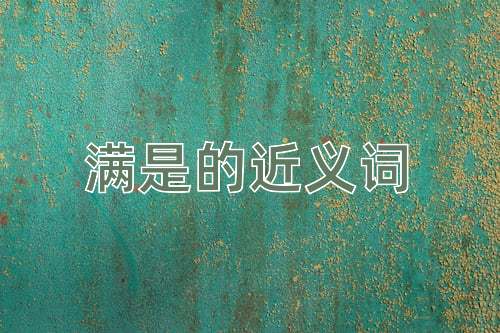 满是的近义词