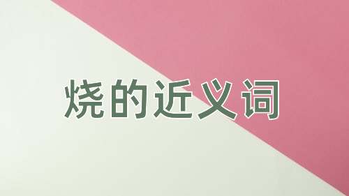 烧的近义词