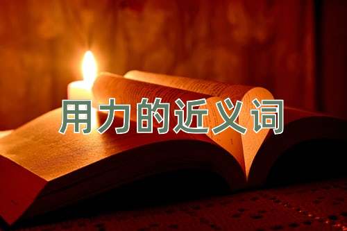 用力的近义词