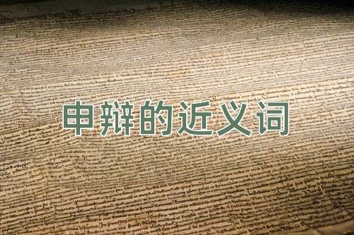 申辩的近义词