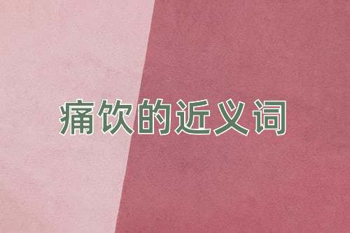 痛饮的近义词