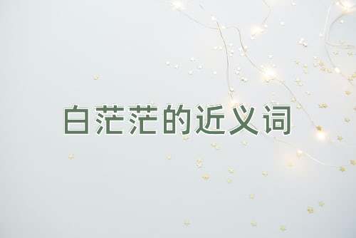 白茫茫的近义词
