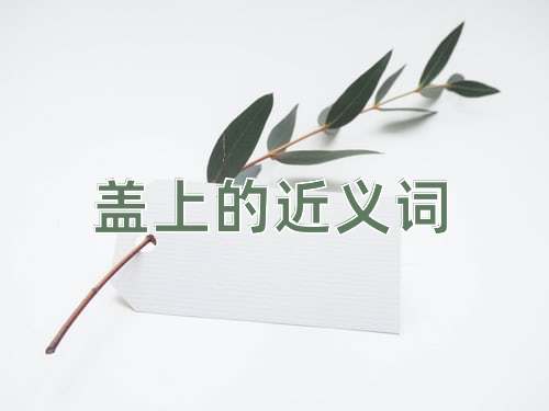 盖上的近义词