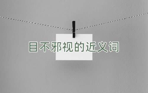 目不邪视的近义词