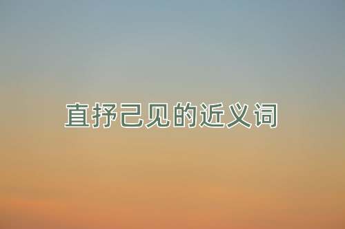 直抒己见的近义词