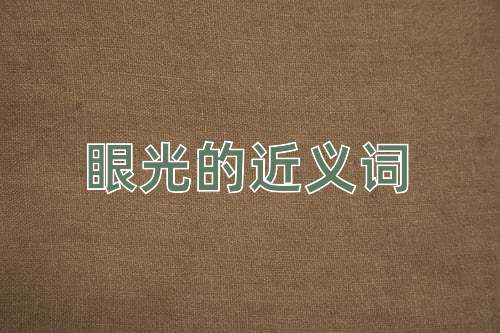 眼光的近义词