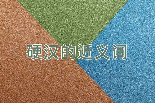 硬汉的近义词