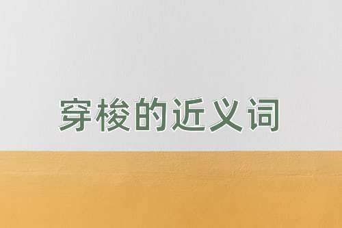 穿梭的近义词