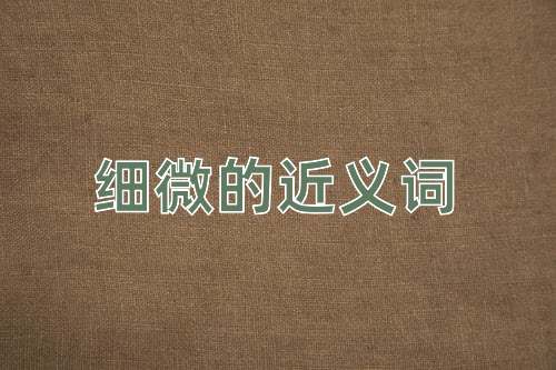细微的近义词