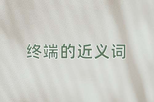 终端的近义词
