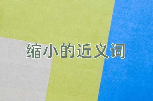 缩小的近义词