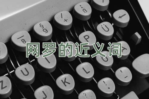 网罗的近义词