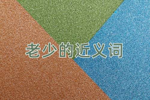 老少的近义词
