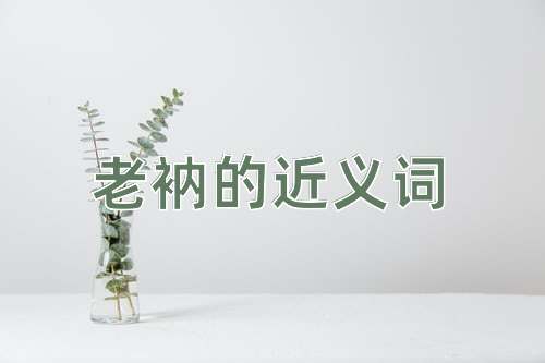 老衲的近义词