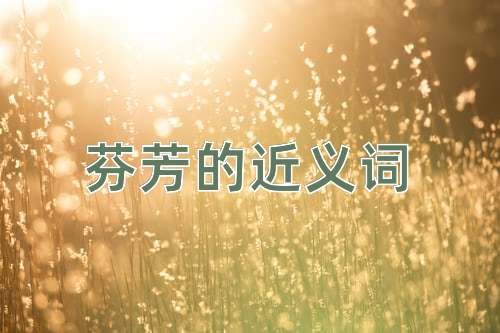 芬芳的近义词