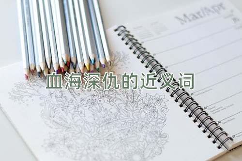 血海深仇的近义词