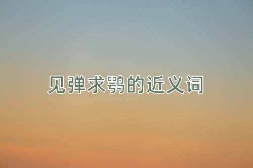见弹求鹗的近义词