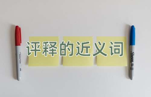 评释的近义词