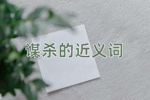 谋杀的近义词