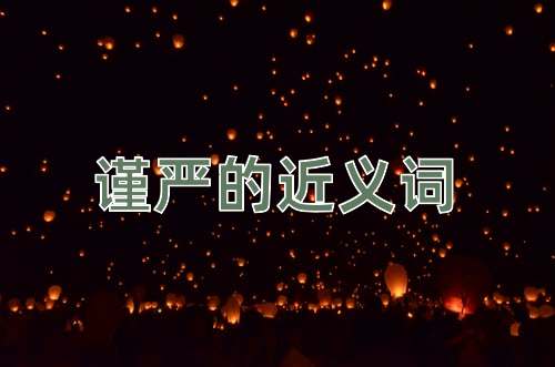 谨严的近义词