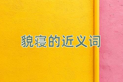 貌寝的近义词
