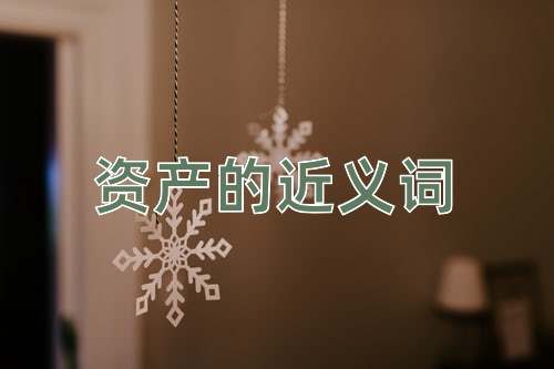 资产的近义词
