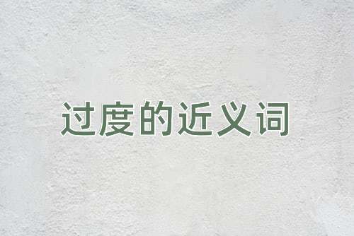 过度的近义词