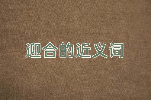 迎合的近义词