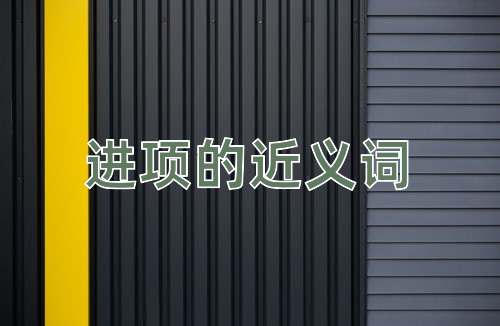 进项的近义词