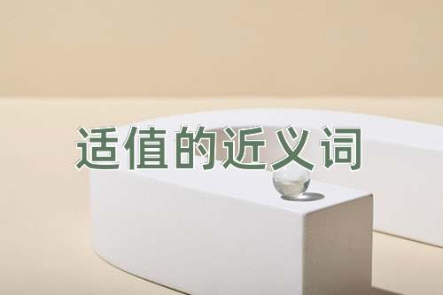 适值的近义词