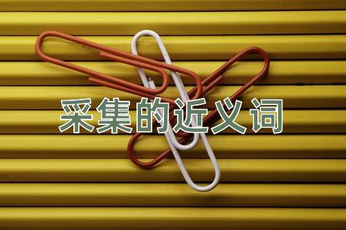 采集的近义词