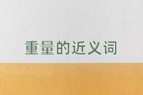 重量的近义词