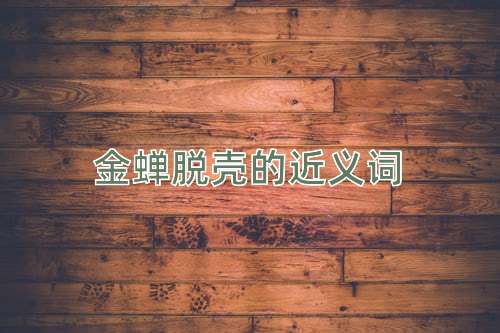 金蝉脱壳的近义词