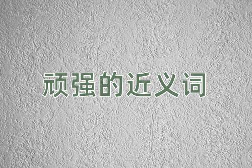 顽强的近义词