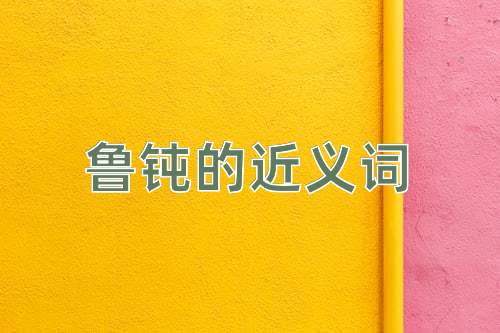 鲁钝的近义词