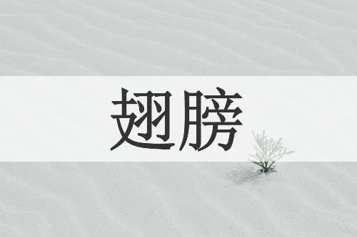 翅膀