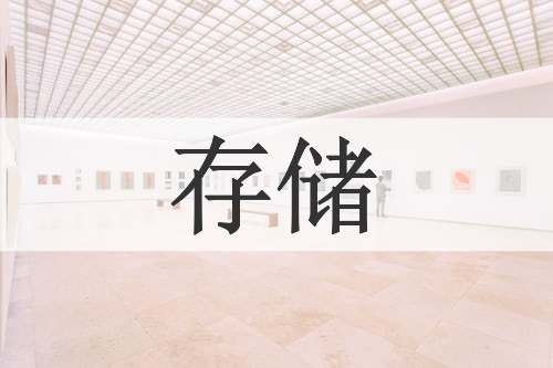 存储