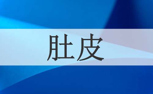 肚皮