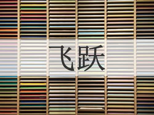 飞跃