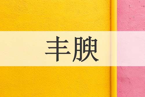 丰腴