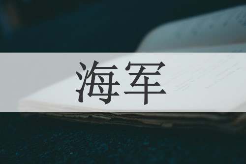 海军